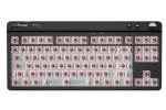 Pulsar професионална геймърска механична клавиатура Professional Gaming Mechanical Keyboard Xboard MS TKL ANSI Black - 8K, Cherry MX2A [Linear], RGB