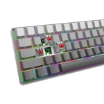 White Shark геймърска механична клавиатура Gaming Mechanical Keyboard NUNCHAKU - Red Switches (English US), Grey