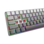 White Shark геймърска механична клавиатура Gaming Mechanical Keyboard NUNCHAKU - Red Switches (English US), Grey
