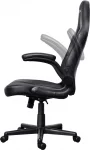 TRUST GXT 703 Riye Black Ергономичен геймърски стол
